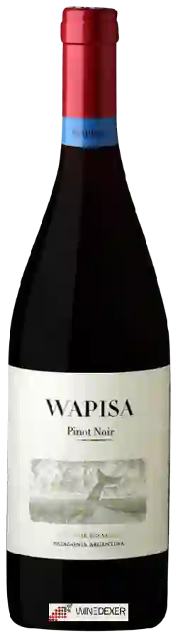 Winery Tapiz - Wapisa Pinot Noir