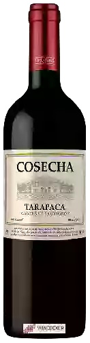 Winery Tarapacá - Cosecha Cabernet Sauvignon