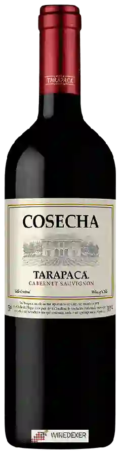 Winery Tarapacá - Cosecha Cabernet Sauvignon