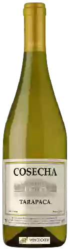 Winery Tarapacá - Cosecha Chardonnay