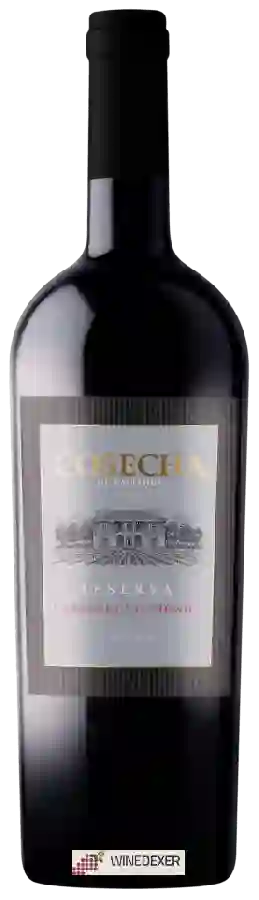 Winery Tarapacá - Cosecha de Naltahua Reserve Cabernet Sauvignon