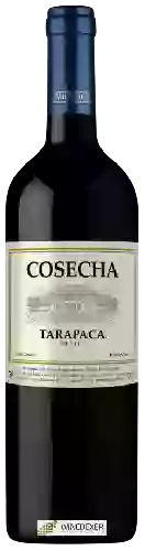 Winery Tarapacá - Cosecha Merlot