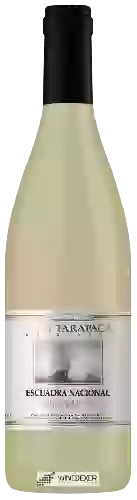 Winery Tarapacá - Escuadra Nacional Gran Reserva Sauvignon Blanc