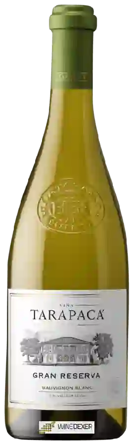 Winery Tarapacá - Gran Reserva Sauvignon Blanc
