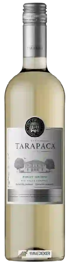 Winery Tarapacá - Pinot Grigio Winery Tarapacá - Pinot Grigio