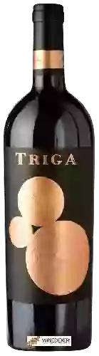 Winery Volver - Triga
