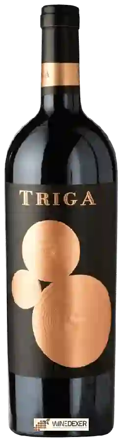 Winery Volver - Triga