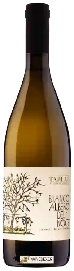 Winery Tarlao - Albero del Noce