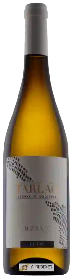 Winery Tarlao - Mosaic Blanc