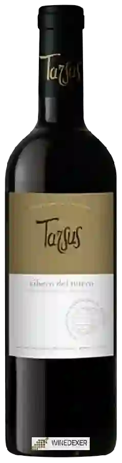 Winery Tarsus - Ribera del Duero
