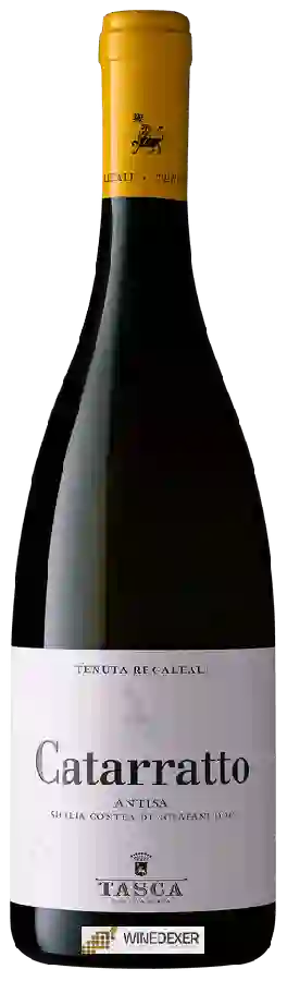 Winery Tenuta Regaleali - Catarratto Sicilia Antisa Regaleali