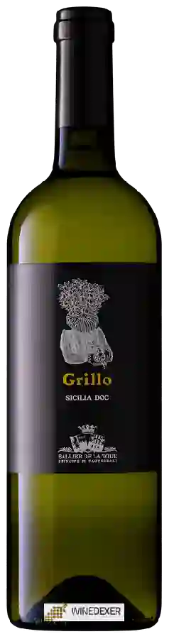 Winery Tenuta Regaleali - Sallier de La Tour Grillo