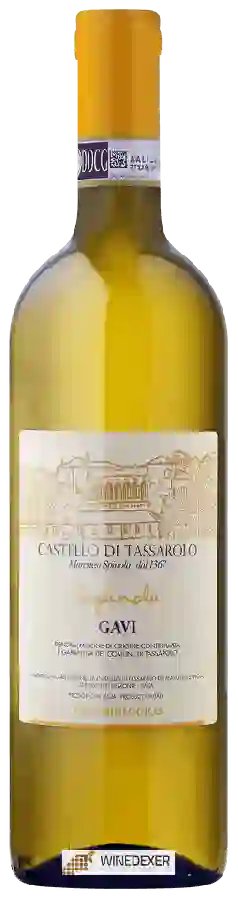 Winery Castello di Tassarolo - Spinola Gavi