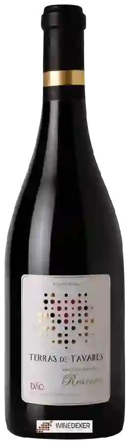 Winery Tavares de Pina - Terras de Tavares Reserva Winery Tavares de Pina - Terras de Tavares Reserva