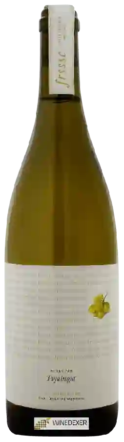 Winery Tayaimgut - Frsssc Sauvignon Blanc Winery Tayaimgut - Frsssc Sauvignon Blanc