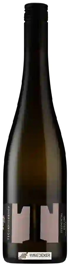 Winery Tegernseerhof - Steinertal Riesling Smaragd Winery Tegernseerhof - Steinertal Riesling Smaragd
