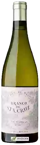 Winery Telmo Rodriguez - Branco de Santa Cruz