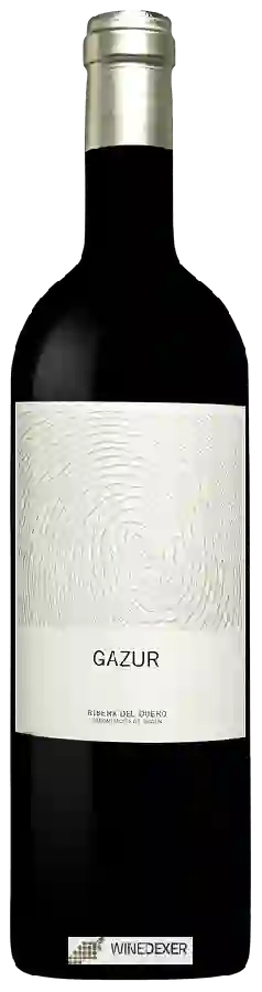 Winery Telmo Rodriguez - Gazur