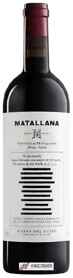 Winery Telmo Rodriguez - Matallana