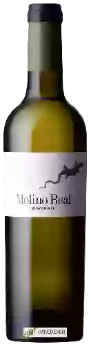 Winery Telmo Rodriguez - Molino Real