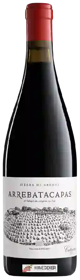 Winery Telmo Rodriguez - Pegaso Arrebatacapas