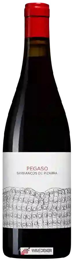 Winery Telmo Rodriguez - Pegaso Barrancos de Pizarra