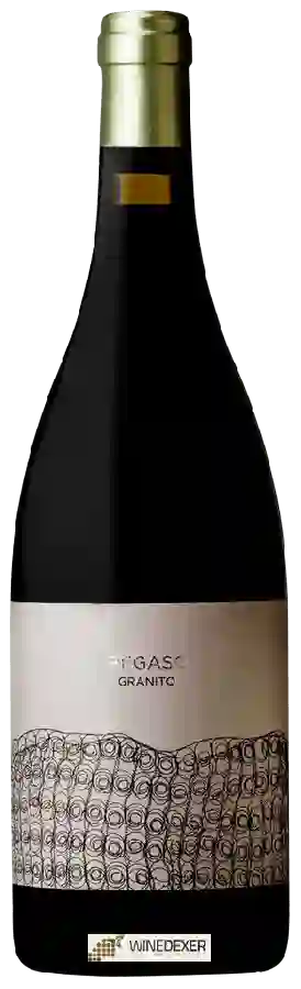 Winery Telmo Rodriguez - Pegaso Granito