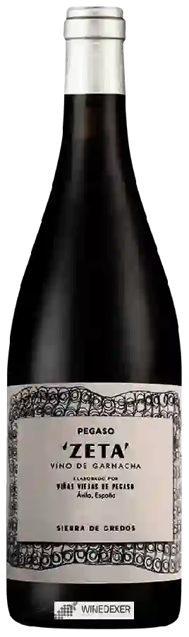 Winery Telmo Rodriguez - Pegaso Zeta