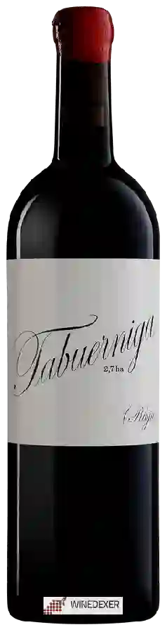 Winery Telmo Rodriguez - Tabuerniga Winery Telmo Rodriguez - Tabuerniga