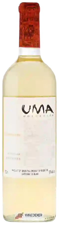 Winery Telteca - UMA Colección Torrontés