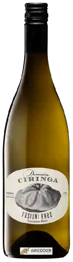 Winery Tement - Domaine Ciringa Fosilni Breg Sauvignon Blanc