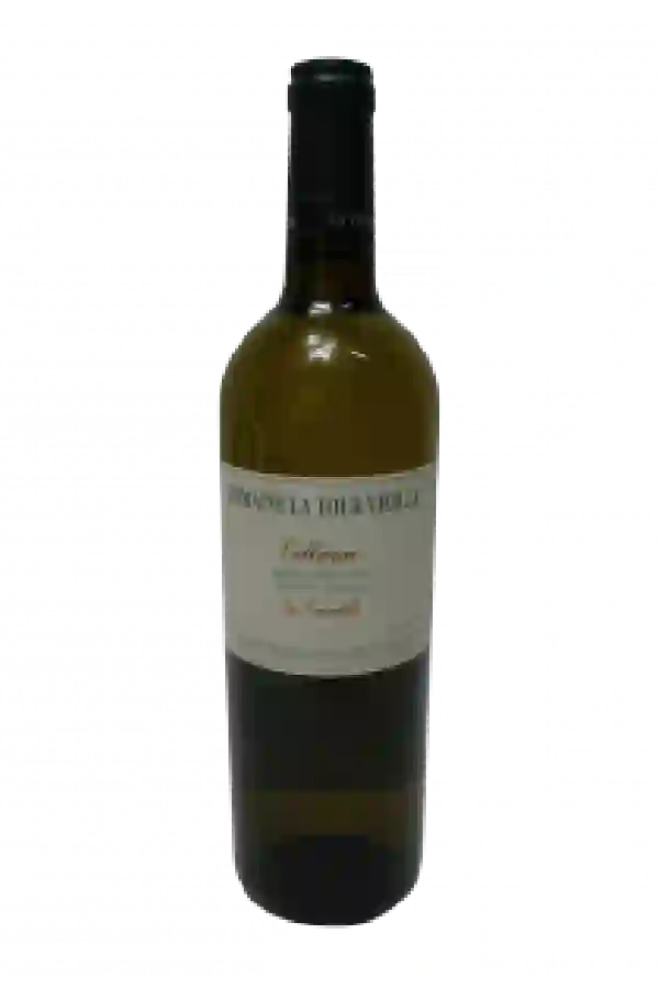 Winery Terres des Templiers - Collines de Schiste Collioure