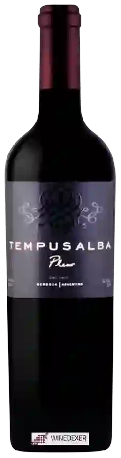 Winery Tempus Alba - Pleno