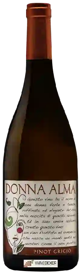 Winery Tenimenti Andreucci - Donna Alma Pinot Grigio Winery Tenimenti Andreucci - Donna Alma Pinot Grigio