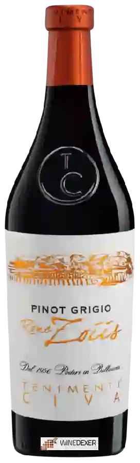 Winery Tenimenti Civa - Pinot Grigio Ronc Zoiis
