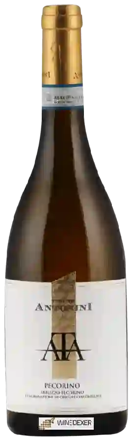 Winery Tenuta Antonini - Pecorino Winery Tenuta Antonini - Pecorino