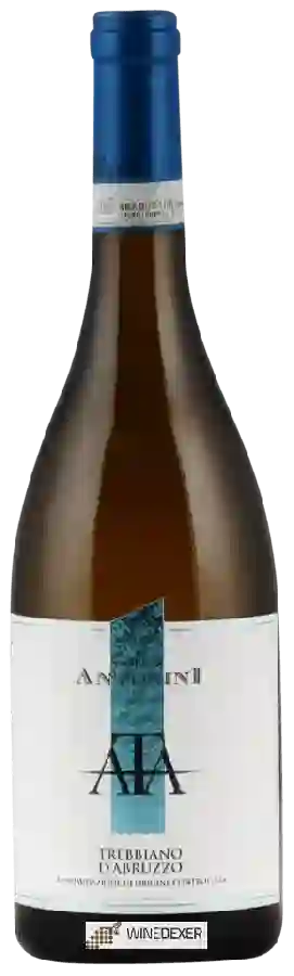 Winery Tenuta Antonini - Trebbiano d'Abruzzo Winery Tenuta Antonini - Trebbiano d'Abruzzo