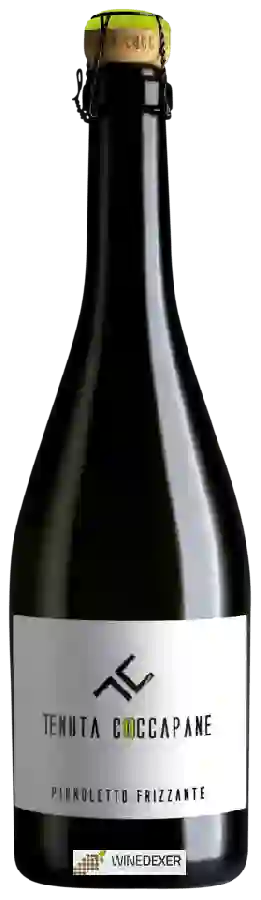 Winery Tenuta Coccapane - Pignoletto Frizzante Winery Tenuta Coccapane - Pignoletto Frizzante