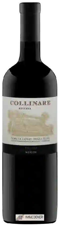 Winery Tenuta Colle Degli Ulivi - Collinare Riserva Merlot
