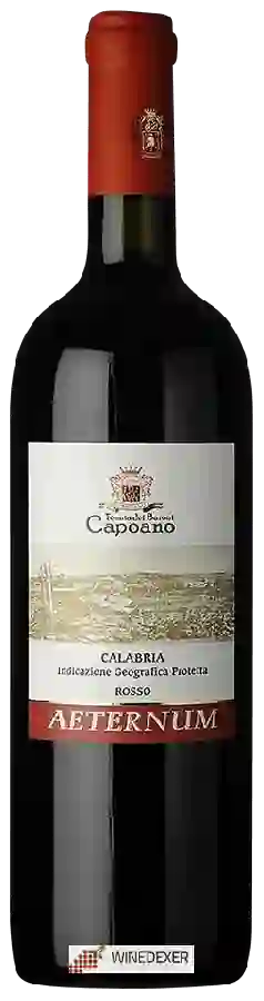 Winery Tenuta dei Baroni Capoano - Aeternum Calabria Rosso