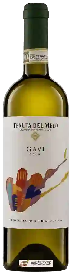Winery Tenuta del Melo - Gavi