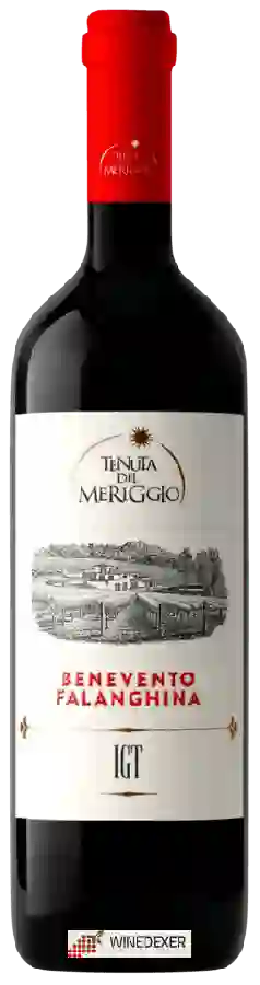 Winery Tenuta del Meriggio - Benevento Falanghina Winery Tenuta del Meriggio - Benevento Falanghina