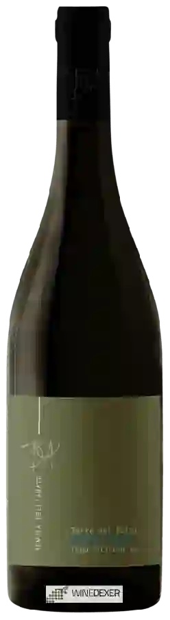 Winery Tenuta dell'Abate - Terre del Palco Grillo - Viognier