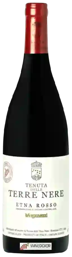 Winery Tenuta delle Terre Nere - Moganazzi