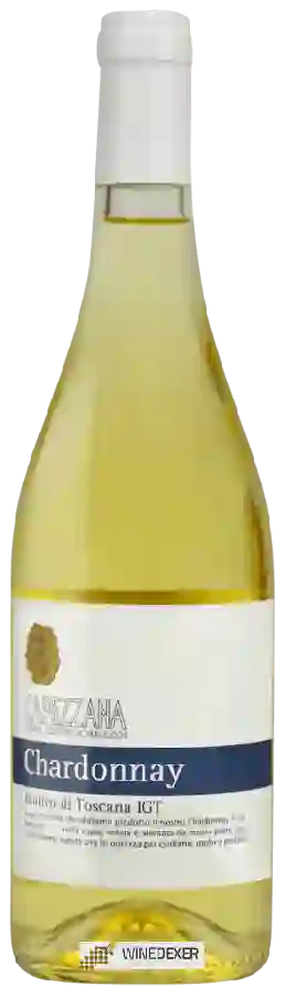 Winery Capezzana - Chardonnay Winery Capezzana - Chardonnay