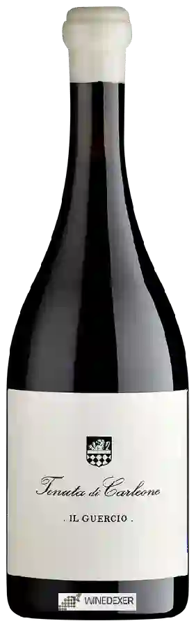 Winery Tenuta di Carleone - Il Guercio