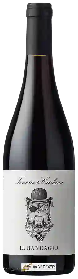 Winery Tenuta di Carleone - Il Randagio Winery Tenuta di Carleone - Il Randagio