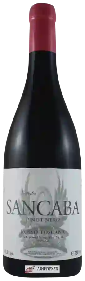 Winery Tenuta di Trinoro - Pinot Nero Toscana Vini Franchetti Sancaba Rosso