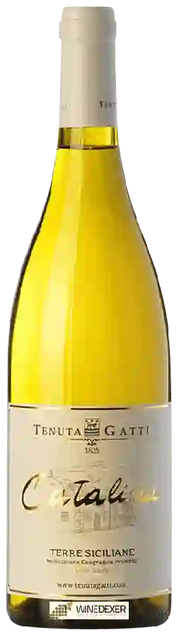 Winery Tenuta Gatti - Catalina Winery Tenuta Gatti - Catalina