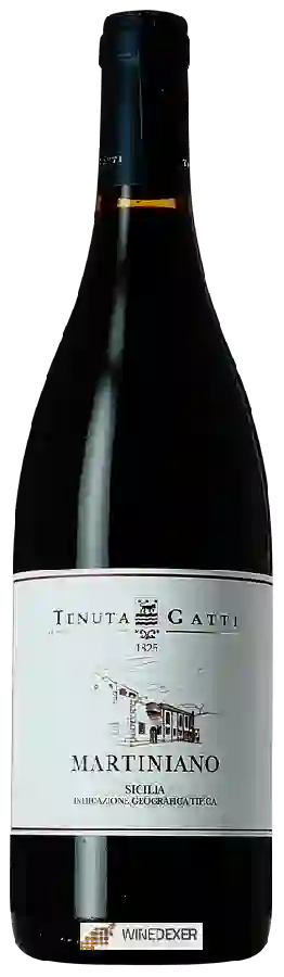 Winery Tenuta Gatti - Martiniano Winery Tenuta Gatti - Martiniano